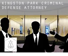 Kingston Park  criminal defense attorney
