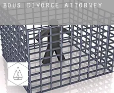 Bous  divorce attorney