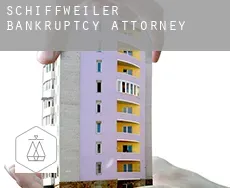 Schiffweiler  bankruptcy attorney