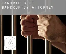 Canowie Belt bankruptcy attorney
