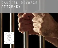 Caudiel divorce attorney