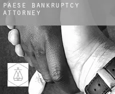 Paese bankruptcy attorney