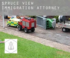 Spruce View immigration attorney