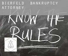 Bierfeld  bankruptcy attorney