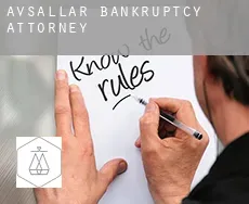 Avsallar  bankruptcy attorney