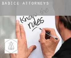 Babice attorneys