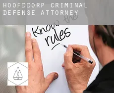 Hoofddorp  criminal defense attorney