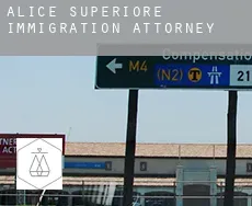 Alice Superiore immigration attorney