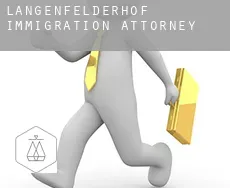 Langenfelderhof  immigration attorney