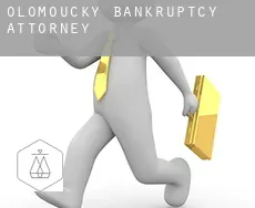 Olomoucký  bankruptcy attorney