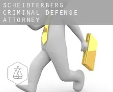 Scheidterberg  criminal defense attorney