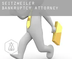 Seitzweiler  bankruptcy attorney