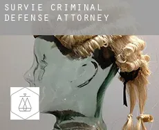 Survie criminal defense attorney