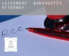 Luisenhof  bankruptcy attorney