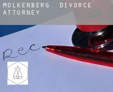 Molkenberg  divorce attorney