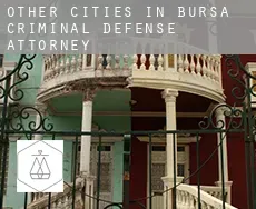 Other cities in Bursa  criminal defense attorney