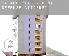 Calacuccia criminal defense attorney