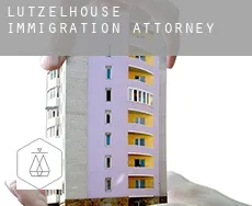 Lutzelhouse immigration attorney