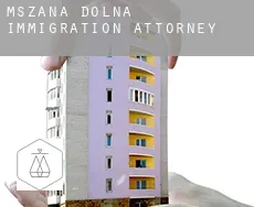 Mszana Dolna immigration attorney