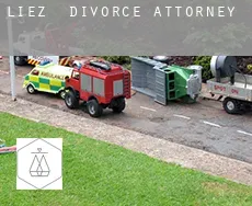 Liez divorce attorney
