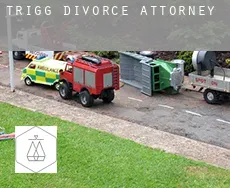 Trigg  divorce attorney