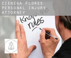 Ciénega de Flores  personal injury attorney