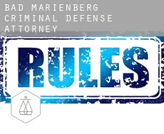 Bad Marienberg  criminal defense attorney