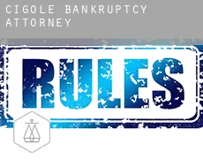 Cigole bankruptcy attorney