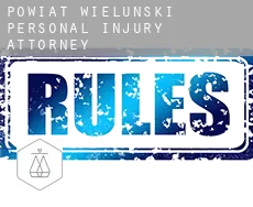 Powiat wieluński personal injury attorney