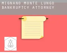 Mignano Monte Lungo bankruptcy attorney