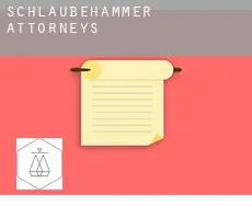 Schlaubehammer  attorneys