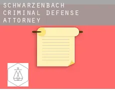 Schwarzenbach  criminal defense attorney