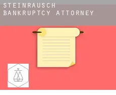 Steinrausch  bankruptcy attorney