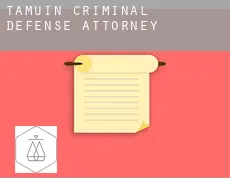 Tamuín criminal defense attorney