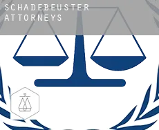 Schadebeuster  attorneys