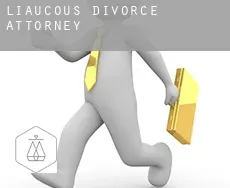 Liaucous divorce attorney