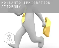Monsanto immigration attorney