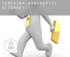 Teresina  bankruptcy attorney