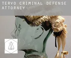 Tervo criminal defense attorney