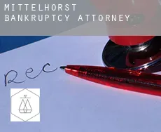 Mittelhorst  bankruptcy attorney