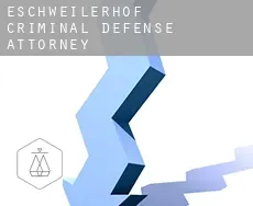 Eschweilerhof  criminal defense attorney