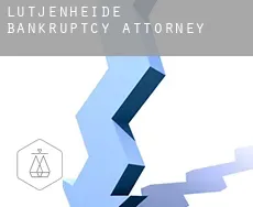 Lütjenheide  bankruptcy attorney