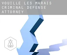 Vouillé-les-Marais  criminal defense attorney