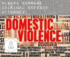 Ålborg Kommune  criminal defense attorney