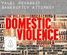 Palol de Revardit  bankruptcy attorney