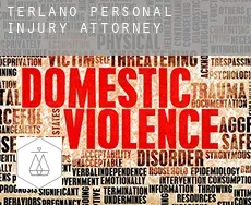 Terlan personal injury attorney
